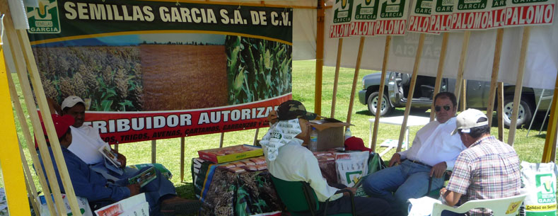 descripción 1
