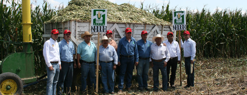 descripción 1